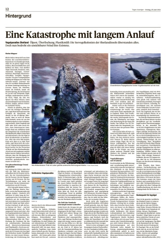 Seabird Cities in Tages-Anzieger, June 2021