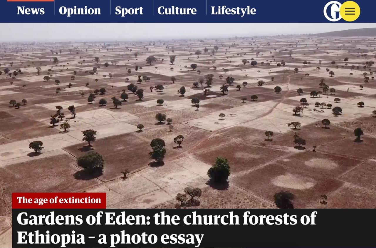 Kieran Dodds Church Forests book in The Guardian, November 2021 