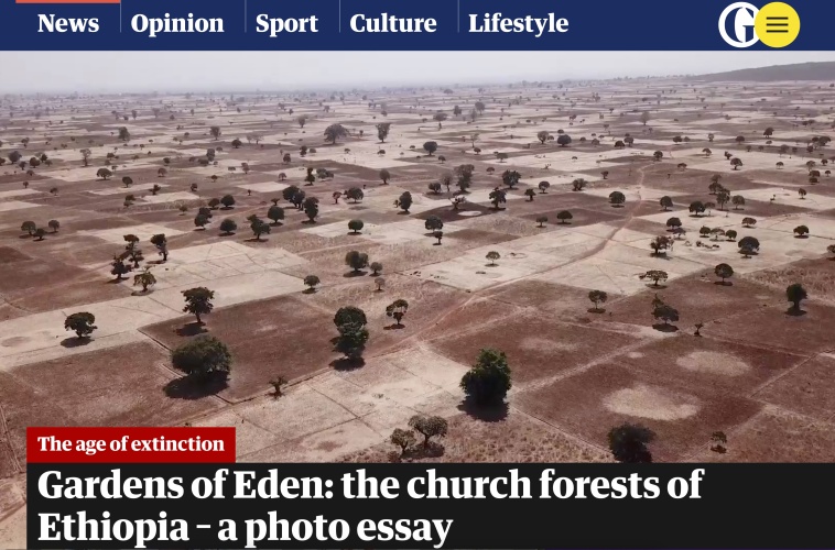 Church Forests book in The Guardian, November 2021